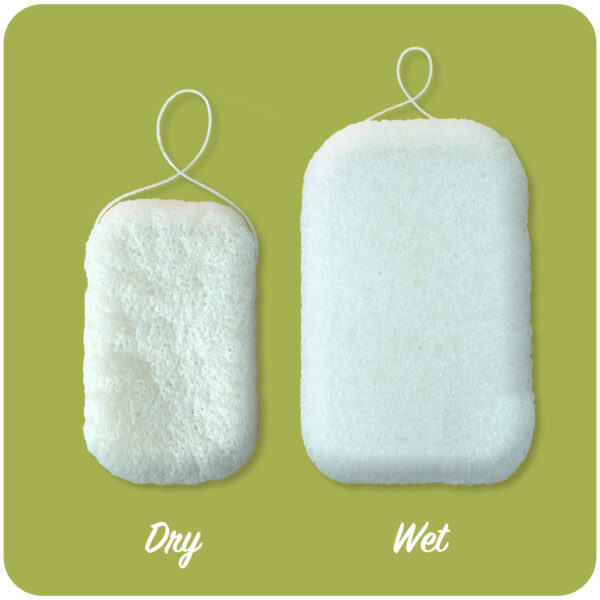 konjac-sponge3-600x600